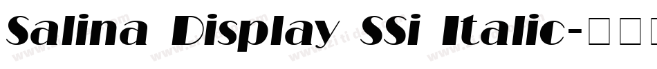 Salina Display SSi Italic字体转换
